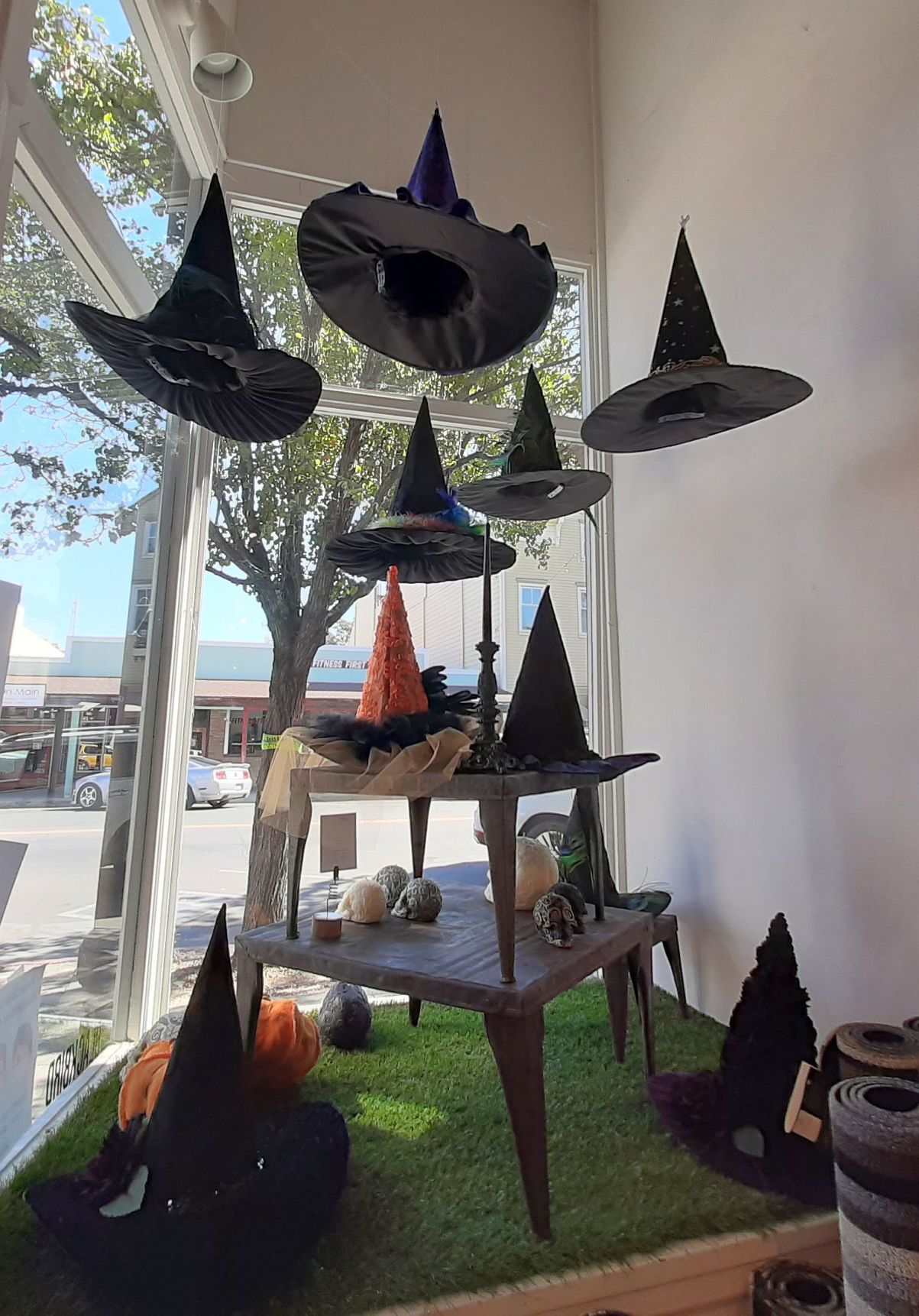 Blackbird of Calistoga